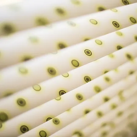 Couette-café La Goélette, D'hôtes Wimereux