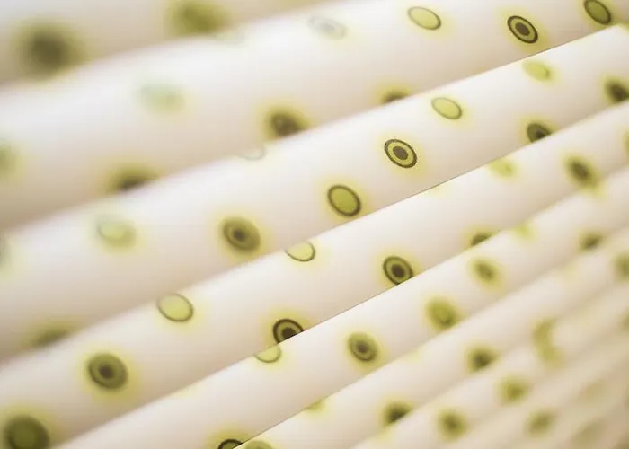 Bed & Breakfast La Goelette, D'hotes Wimereux